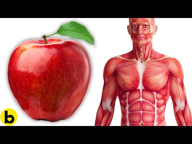 Eating An Apple Every Day Does This To Your Body