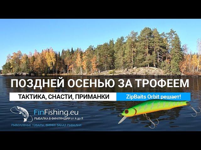 Поздней осенью за трофеем. Снасти, приманки, тактика. Или zipbaits orbit решает!
