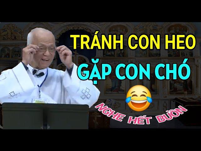 TRÁNH CON HEO THÌ GẶP CON CHÓ - NGHE XONG HẾT BUỒN| CHA PHẠM QUANG HỒNG GIẢNG THUYẾT