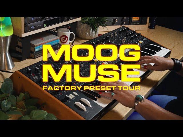 Moog Muse | Factory Preset Tour | All Sounds, No Talking