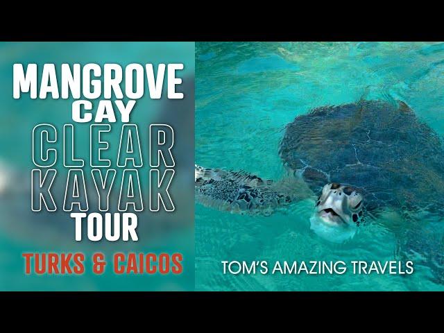 Mangrove Clear Kayak Tour - Turks & Caicos - See turtles, rays, small sharks, fish, coral and more.