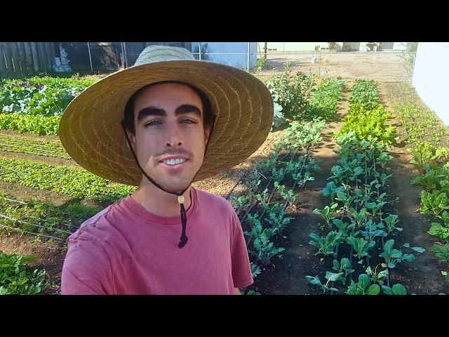 I Quit My Job to Start Farming—Here’s What Happened!