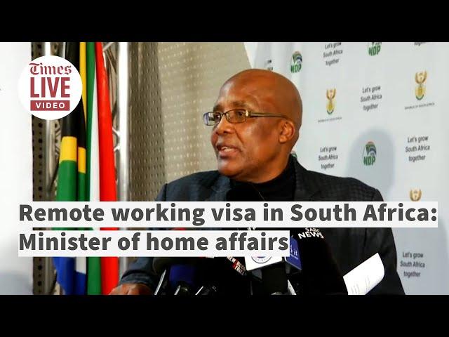 Remote working visas 'important for South Africa': Minister of home affairs