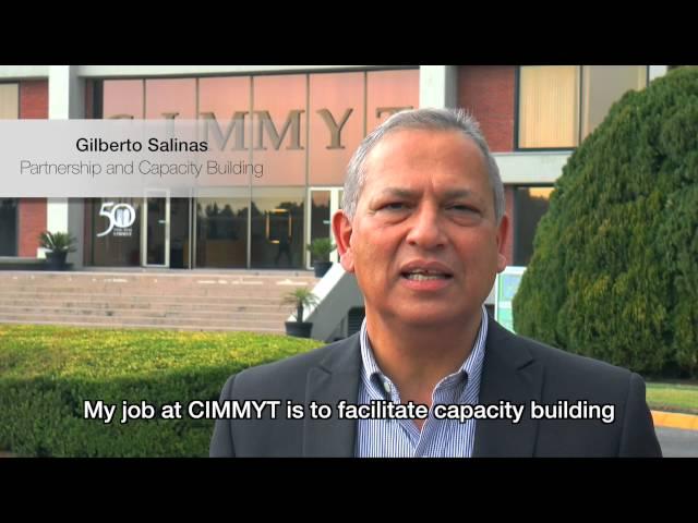 CIMMYT celebrates 50 years of turning research into impact 3/4