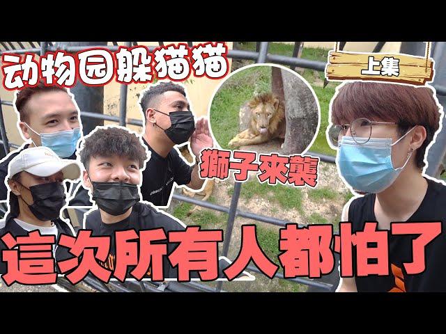 动物园躲猫猫！！一群不怕屎的Youtuber！！竟然在动物院里和狮子XX！？【躲猫猫系列】