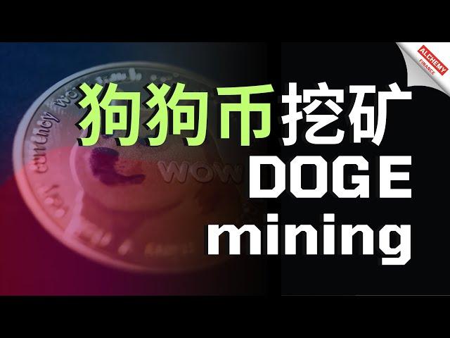 【挖矿教程】DOGE狗狗币挖矿教程，支持CPU、GPU最新挖矿教程，HOW TO MINE DOGECOIN 2024，WIN系统就能挖，马斯克最爱的狗狗币