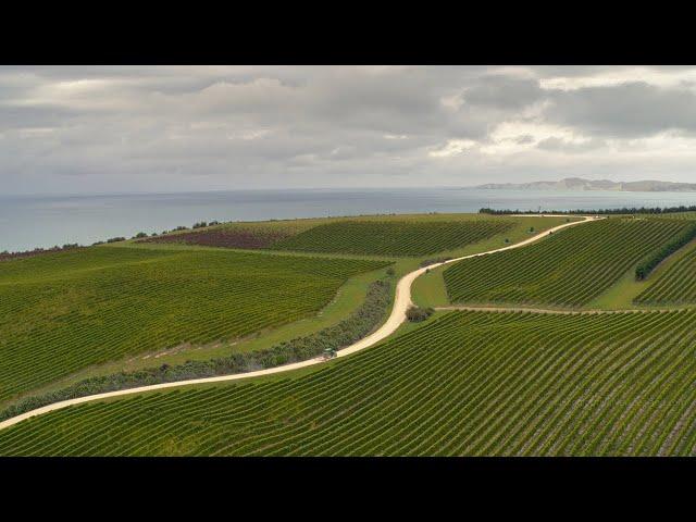 Drone video of Marlborough | Marlborough Region | New Zealand | 4K