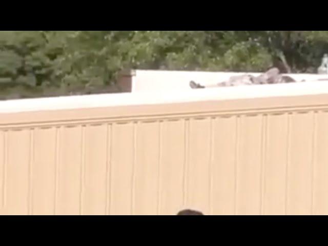 Video: Body of alleged shooter in Former President Trump's assassination attempt found on roof