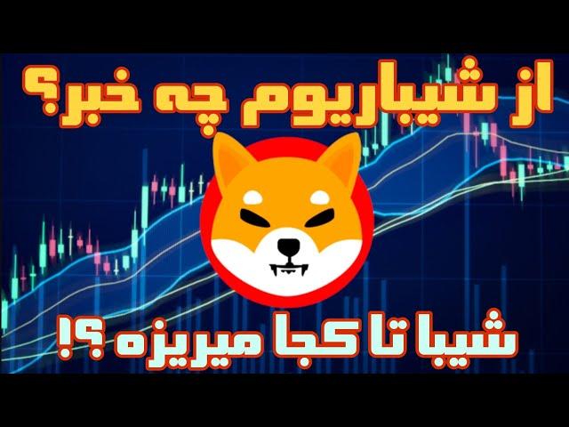 از بلاکچین اختصاصی شیبا چه خبر؟ قیمت تا کجا میره؟