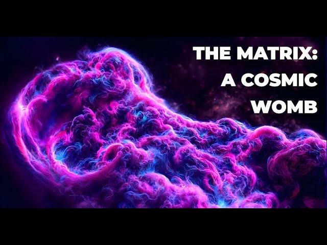 The Matrix: A Cosmic Womb