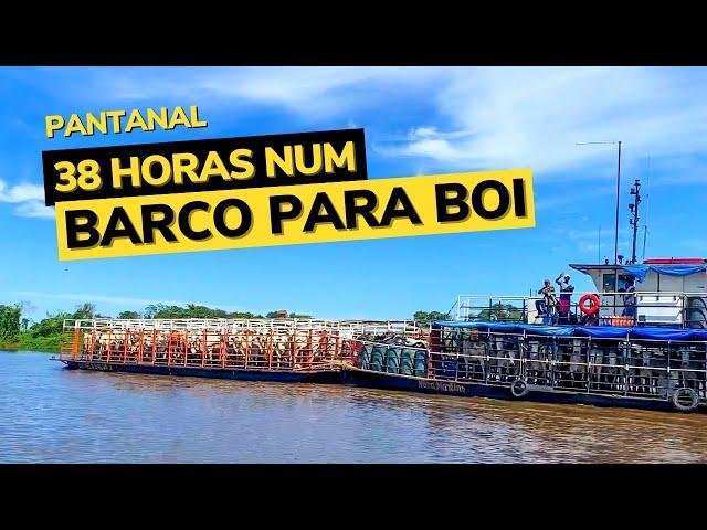 VOCÊ TERIA CORAGEM DE VIAJAR NUM BARCO DE CARREGAR BOI ? | 38 Horas Pelo Rio Paraguai | Pantanal