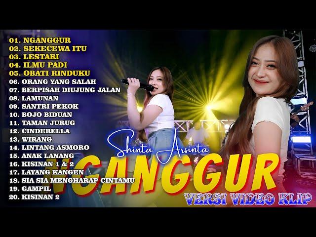 DANGDUT KOPLO TERBARU 2024 - SHINTA ARSINTA FULL ALBUM TRENDING DAN VIRAL 2024 / NGANGGUR, LESTARI