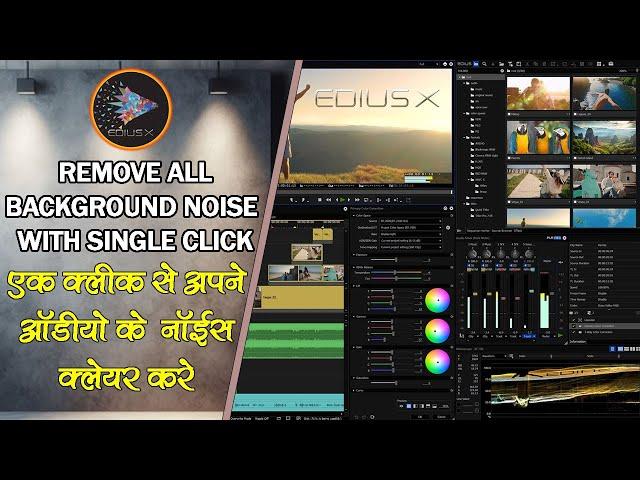 EK CLICK SE BACKGROUND NOISE KO REMOVE KARE | HOW TO REMOVE BACKGROUND NOISE OF AUDIO IN EDIUS