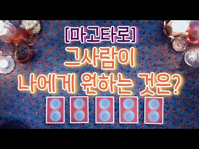 [타로/타로카드] 그사람이 나에게 원하는 것은?  [마고로즈]의 마고타로