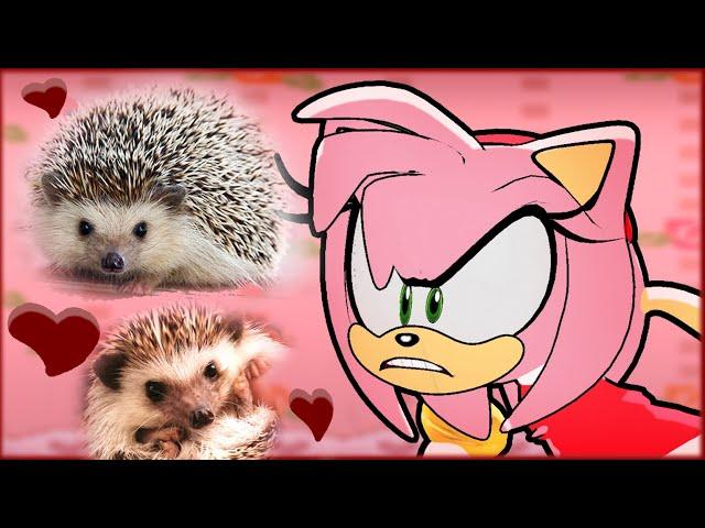 If Amy Rose was in a Cute Hedgehogs Compilation Video