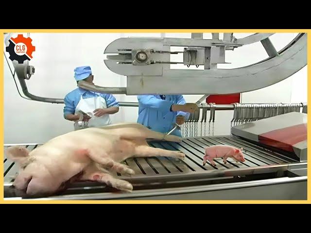 How Does A Pig Slaughter Line Work? - Sausage Processing | Food Industry Machines