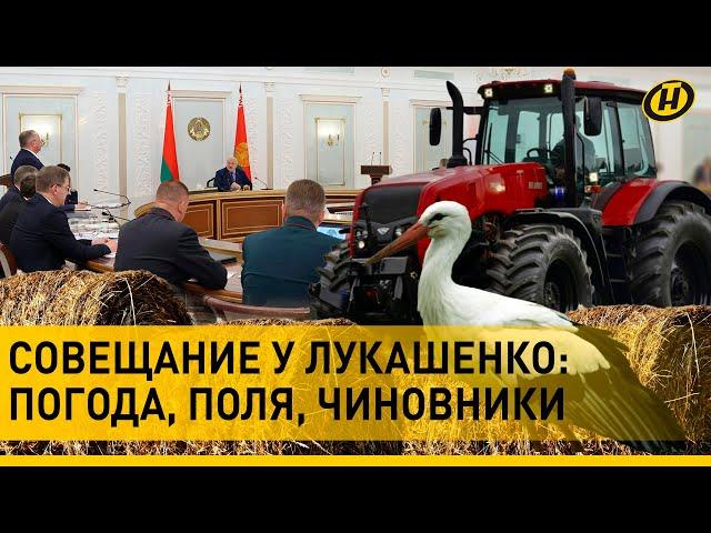 ️ ЛУКАШЕНКО: Ответственность будет серьезнейшая! Последствия урагана. ЧТО НА ПОЛЯХ. Уполномоченные