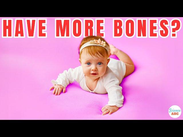 Why Do Babies Have More Bones Than Adults?