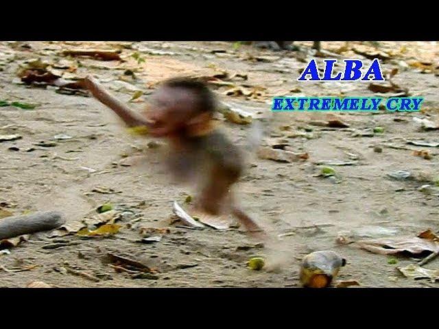 POOR SKINNY ALBA SUPPER CRY FOLLOW MOM ANNA | BABY ALBA CRY TANTRUM & VERY LOUD