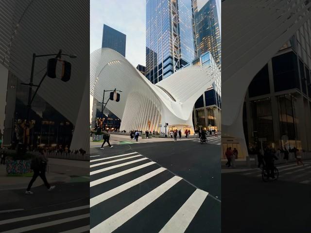 Architectural wonder  Oculus Building   