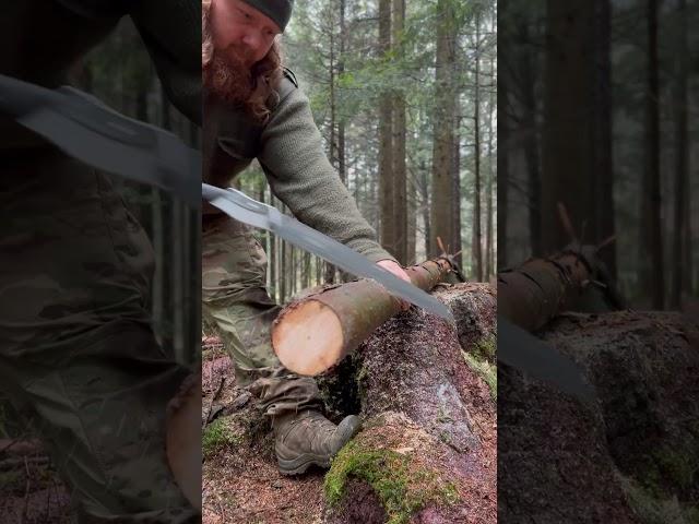 Meine treue Begleiterin im Bushcraft-Abenteuer #klappsäge #Bushcraft #7vswild #silkyboy #feuermachen