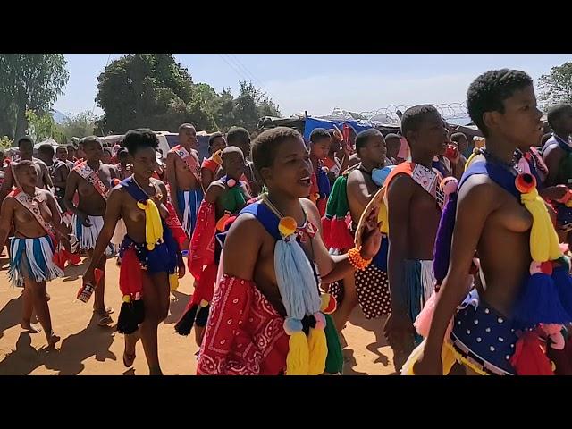 Dancing maidens at Umhlanga (Reed Festival) in Eswatini (2019)