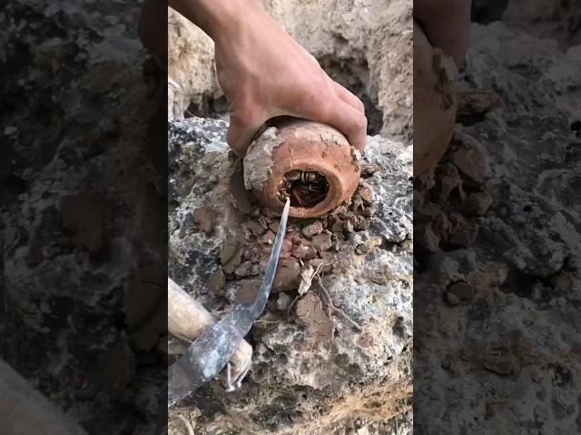 treasure hunter with metal detecting / archeology / كنوز ودفائن #gold