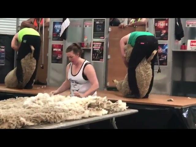 Australian wool innovation