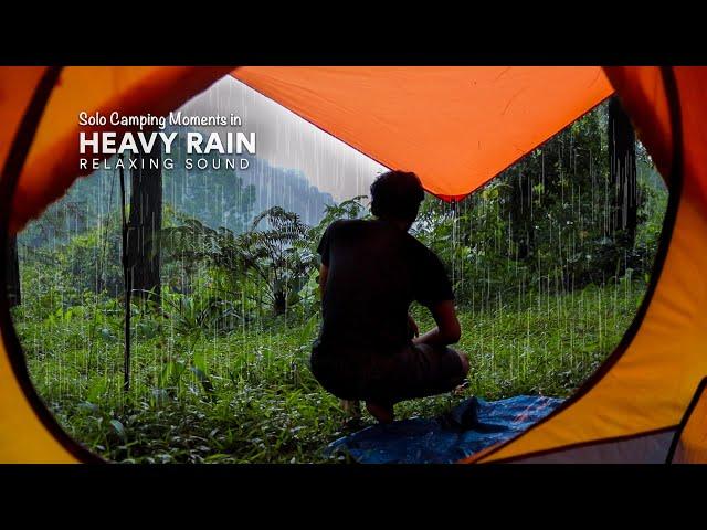 Camping in the Rain Moments, Thunderstorm and Heavy Rain Sounds for Relaxation | Compilation 1