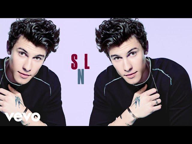 Shawn Mendes - If I Can't Have You (Live On Saturday Night Live)