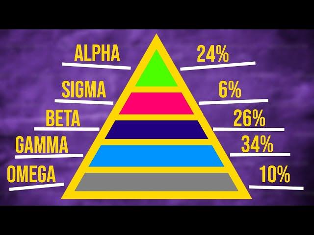 5 Male Personality Types RANKED! (Which one are you?)