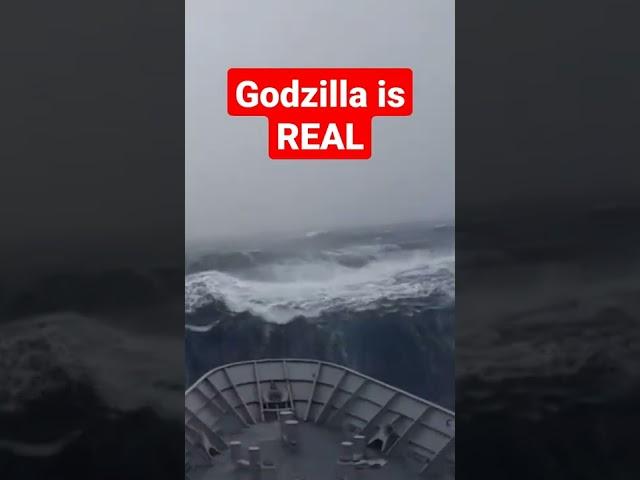 godzilla caught on cam #shorts #godzillavskong #fypyoutube #fyp