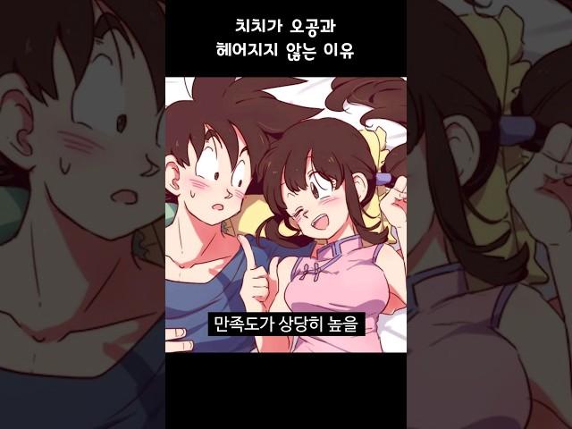 치치가 결혼생활을 만족하는 진짜 이유 ㄷㄷ [드래곤볼]