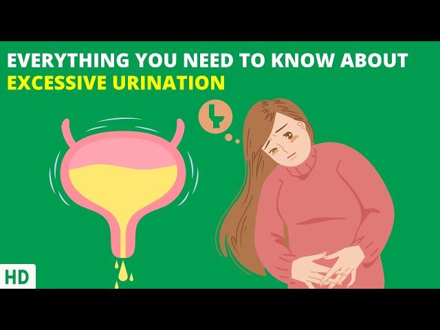 Too Much Peeing? Here's What Your Body is Trying to Tell You!