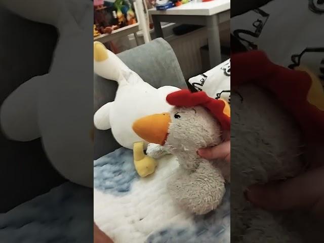 язык петуха Когда появилась жена