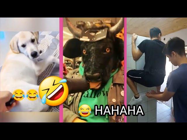 ROFL Time: Try Not To Laugh Funny Videos 2024 - Happy Life Edition 