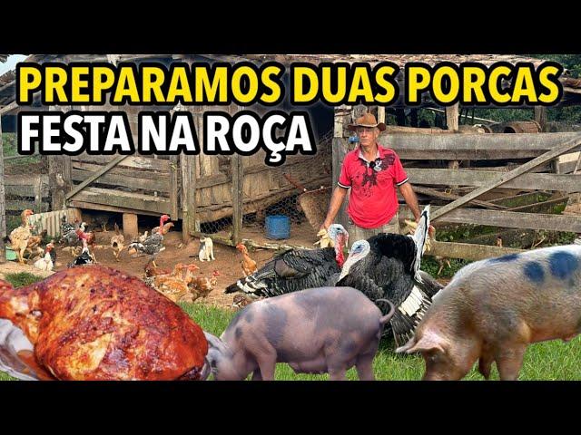 DIA DE ASSAR 2 PORCAS NA ROÇA DO VARDINHO