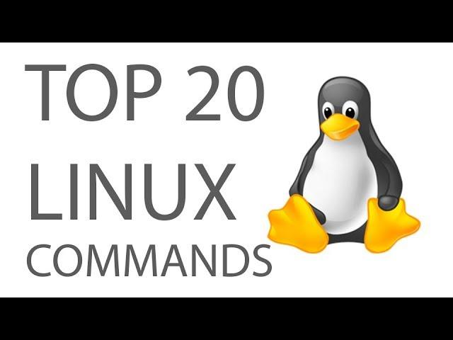 You Must Know 20 Important Linux Commands