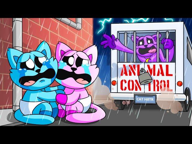 CATNAP is TAKEN?! (Cartoon Animation)