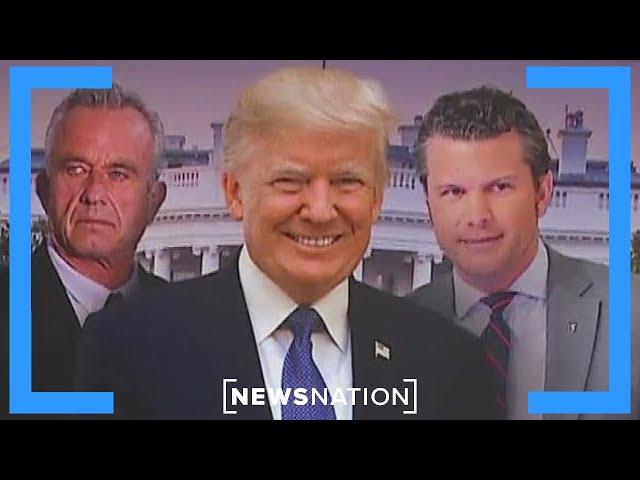 Majority of Americans approve of Trump transition: poll | Morning in America