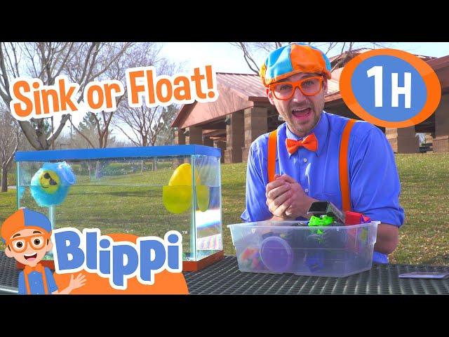 Sink or Float | 1 HOUR BEST OF BLIPPI | Educational Videos for Kids | Full Episodes | Blippi Toys