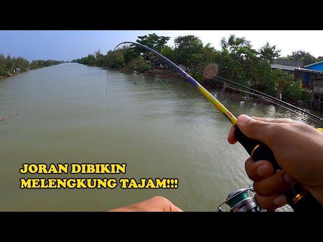 Mancing Dari Atas Jembatan ini tidak pernah boncos..!!!