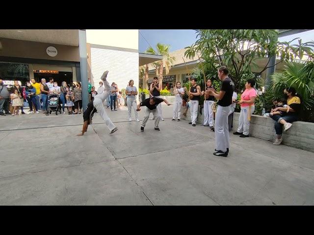 EXHIBICIÓN CAPOEIRA CORDÃO DE OURO MANGALOT CUERNA EN FÓRUM CUERNAVACA. JULIO 2022