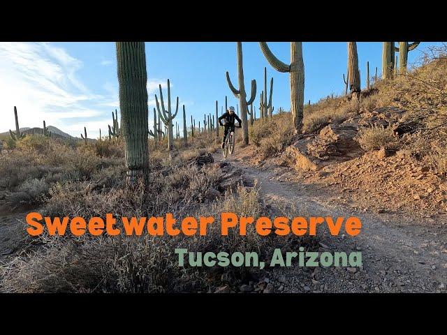 Sweetwater Preserve MTB Trail Ride in Tucson, Arizona