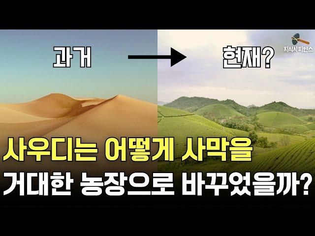 놀라운 사막의 변신, 사막에서 농사를 짓는 사우디 이야기