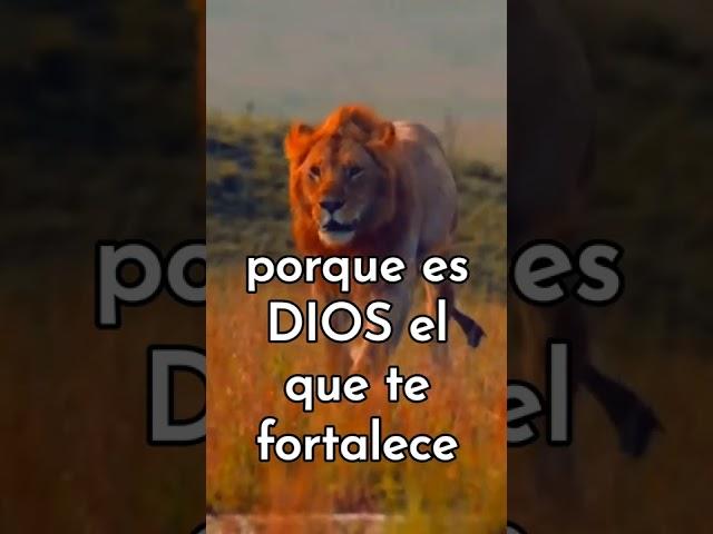 Dios se levantará a tu favor #shorts #youtubeshorts #shortsvideo #reflexiones