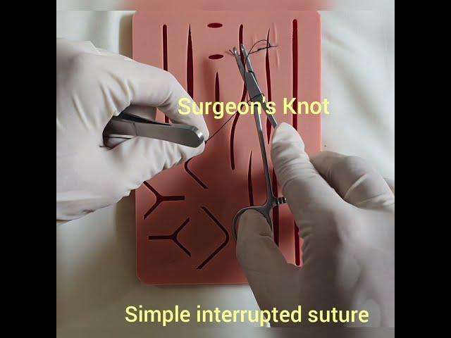 SIMPLE INTERRUPTED SUTURE WITH SURGEON'S KNOT - HD Demo