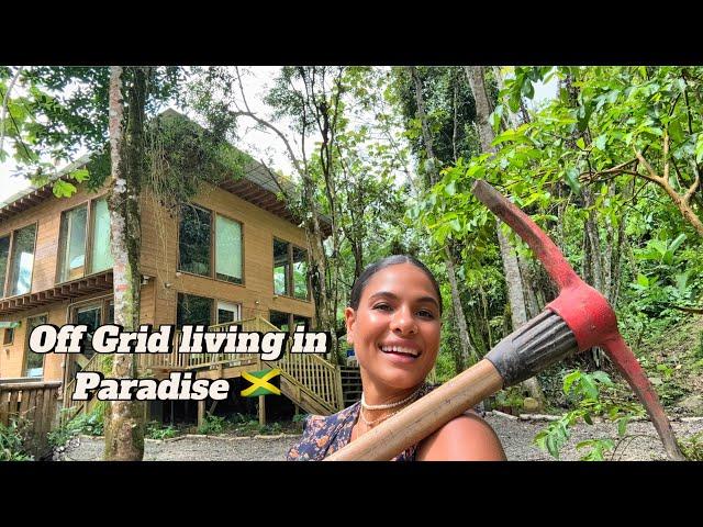 Portland Jamaica  off grid wood house living.