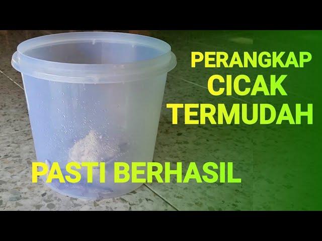 Perangkap Cicak Termudah Dan Pasti Berhasil.