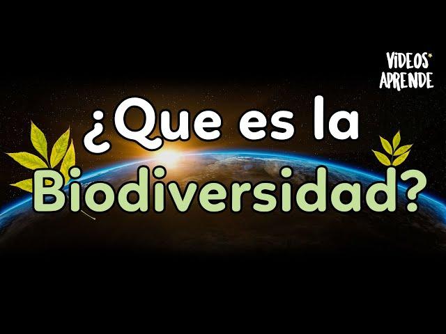 ¿Qué es la biodiversidad? - Videos Aprende